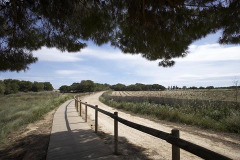 Bungalow till salu i Torrevieja, Alicante, Spanien 2 sovrum, 79 kvm. Nr. 171836 - foto 5