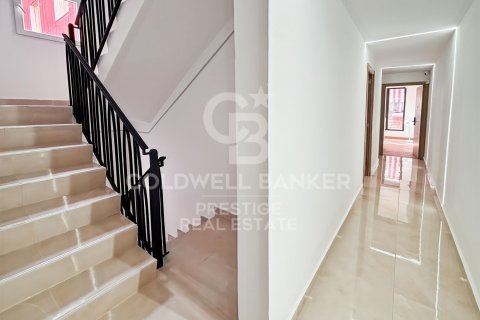 Lokal usługowy w Barcelona, Hiszpania 291 mkw. nr 157811 – zdjęcie 6