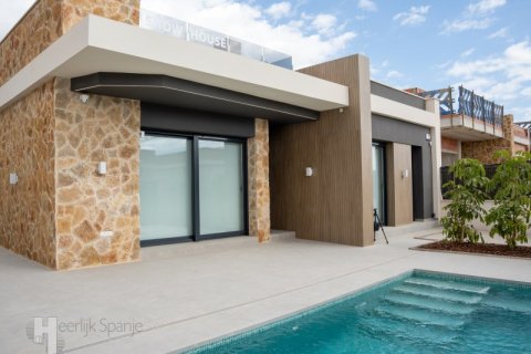 Villa pārdošanā Rojales, Alicante, Spānijā 3 istabas,  Nr. 168222 - attēls 8