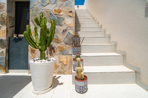 Villa for sale in Algorfa, Alicante, Spain 3 bedrooms, 120 sq.m. No. 194575 - photo 29