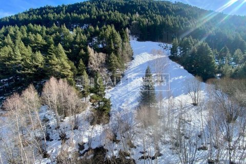 Продажа пентхауса в Андорра, Лерида, Испания 2 спальни, 70м2 №156744 - фото 5