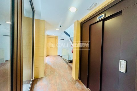 Huoneisto myytävänä Principado De Andorra (Ninguna Poblacion Tiene C.P.), Lleida, Espanja, 4 makuuhuonetta, 145 m2 No. 156741 - kuva 24
