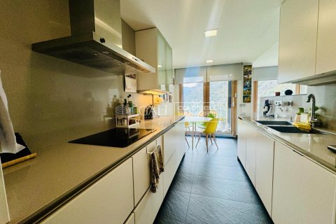 Huoneisto myytävänä Principado De Andorra (Ninguna Poblacion Tiene C.P.), Lleida, Espanja, 4 makuuhuonetta, 145 m2 No. 156741 - kuva 5
