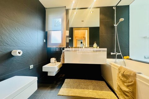 Huoneisto myytävänä Principado De Andorra (Ninguna Poblacion Tiene C.P.), Lleida, Espanja, 4 makuuhuonetta, 145 m2 No. 156741 - kuva 20