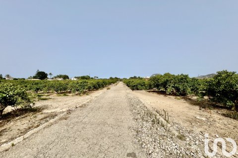 Māja pārdošanā Ondara, Alicante, Spānijā 3 istabas, 363 m2 Nr. 153926 - attēls 20