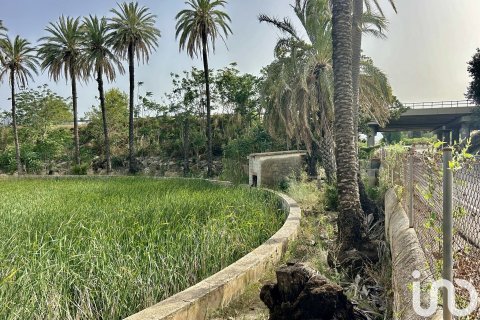 Māja pārdošanā Ondara, Alicante, Spānijā 3 istabas, 363 m2 Nr. 153926 - attēls 10