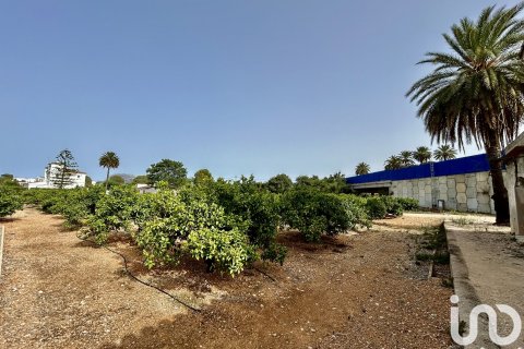 Māja pārdošanā Ondara, Alicante, Spānijā 3 istabas, 363 m2 Nr. 153926 - attēls 18