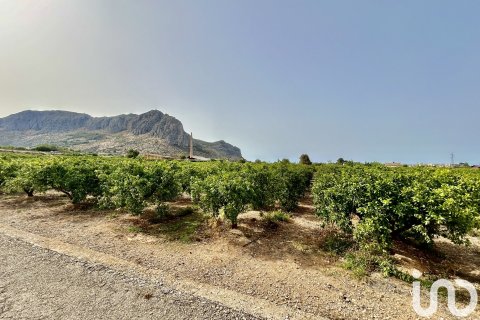 Māja pārdošanā Ondara, Alicante, Spānijā 3 istabas, 363 m2 Nr. 153926 - attēls 19