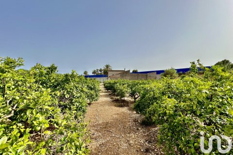 Māja pārdošanā Ondara, Alicante, Spānijā 3 istabas, 363 m2 Nr. 153926 - attēls 22