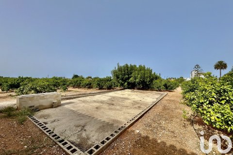 Māja pārdošanā Ondara, Alicante, Spānijā 3 istabas, 363 m2 Nr. 153926 - attēls 21