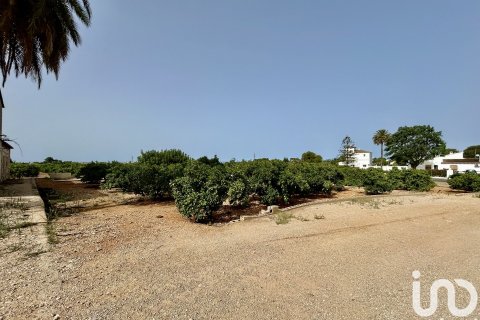 Māja pārdošanā Ondara, Alicante, Spānijā 3 istabas, 363 m2 Nr. 153926 - attēls 30