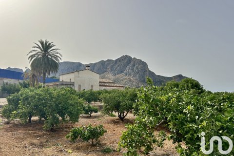 Māja pārdošanā Ondara, Alicante, Spānijā 3 istabas, 363 m2 Nr. 153926 - attēls 8