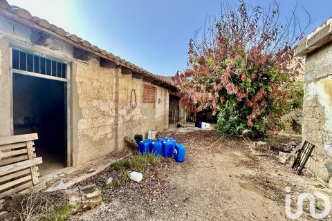 Māja pārdošanā Ondara, Alicante, Spānijā 3 istabas, 363 m2 Nr. 153926 - attēls 28