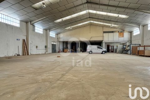 Liikekiinteistö myytävänä Anna, Valencia, Espanja, 3 makuuhuonetta, 3 m2 No. 153929 - kuva 5