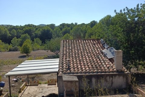 Land zum Verkauf in L'Ametlla de Mar, Tarragona, Spanien 34000 m2 Nr. 185610 - Foto 13