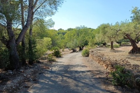Land zum Verkauf in L'Ametlla de Mar, Tarragona, Spanien 34000 m2 Nr. 185610 - Foto 24