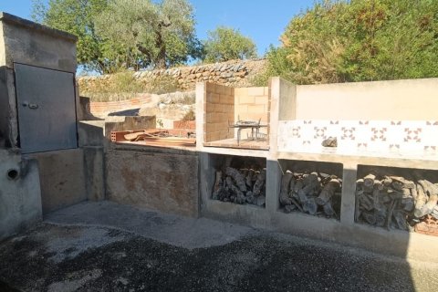 Land zum Verkauf in L'Ametlla de Mar, Tarragona, Spanien 34000 m2 Nr. 185610 - Foto 14