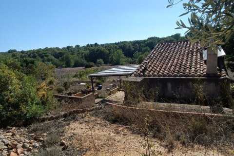 Land zum Verkauf in L'Ametlla de Mar, Tarragona, Spanien 34000 m2 Nr. 185610 - Foto 18