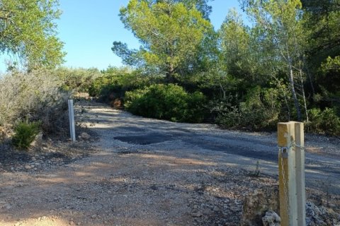 Land zum Verkauf in L'Ametlla de Mar, Tarragona, Spanien 34000 m2 Nr. 185610 - Foto 22