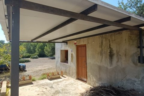 Land zum Verkauf in L'Ametlla de Mar, Tarragona, Spanien 34000 m2 Nr. 185610 - Foto 15