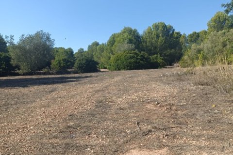 Land zum Verkauf in L'Ametlla de Mar, Tarragona, Spanien 34000 m2 Nr. 185610 - Foto 16