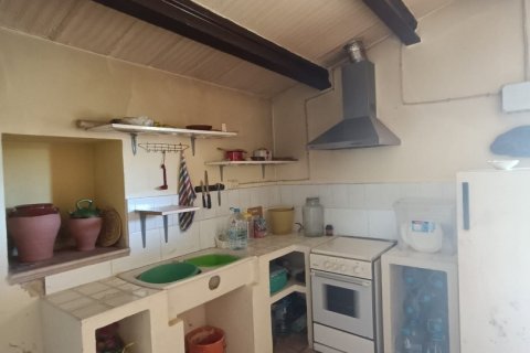 Land zum Verkauf in L'Ametlla de Mar, Tarragona, Spanien 34000 m2 Nr. 185610 - Foto 8