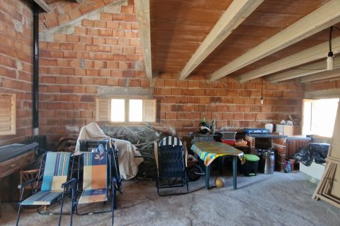 Tontti myytävänä L'Ametlla de Mar, Tarragona, Espanja , 11078 m2 No. 185612 - kuva 14