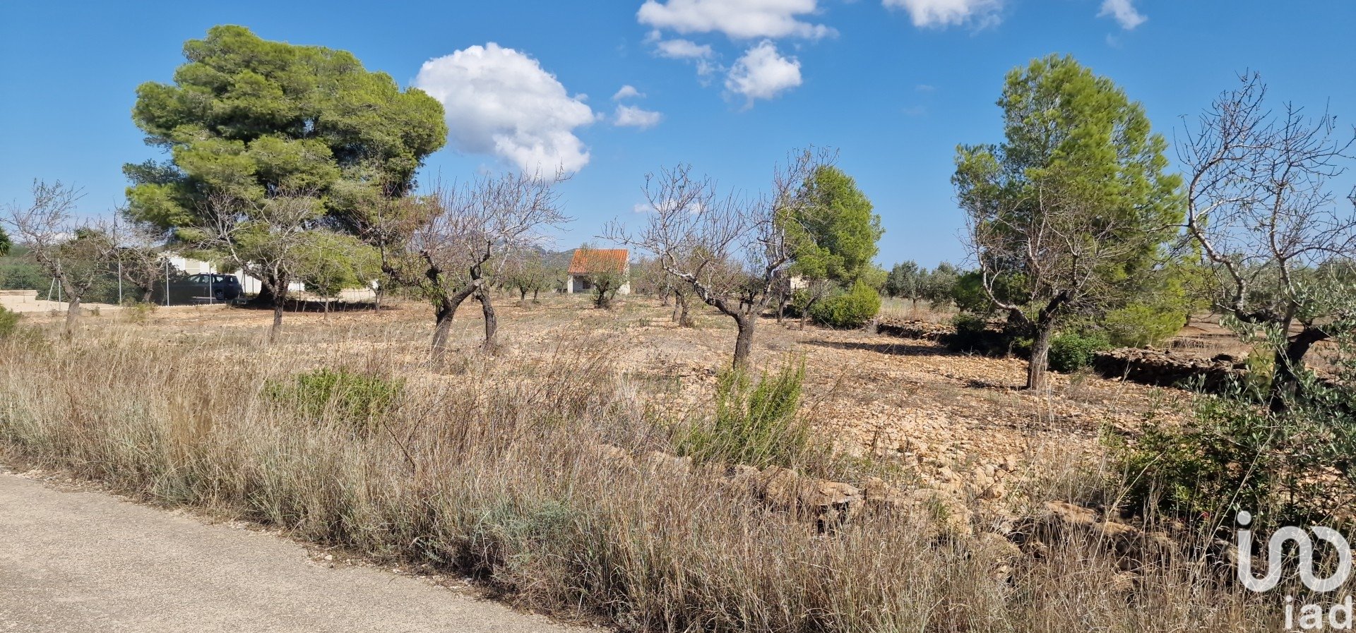 Land plot à L'Ametlla de Mar, Tarragona, Espagne 11078 m2 No. 185612