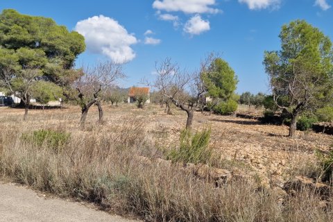 Tontti myytävänä L'Ametlla de Mar, Tarragona, Espanja , 11078 m2 No. 185612 - kuva 2