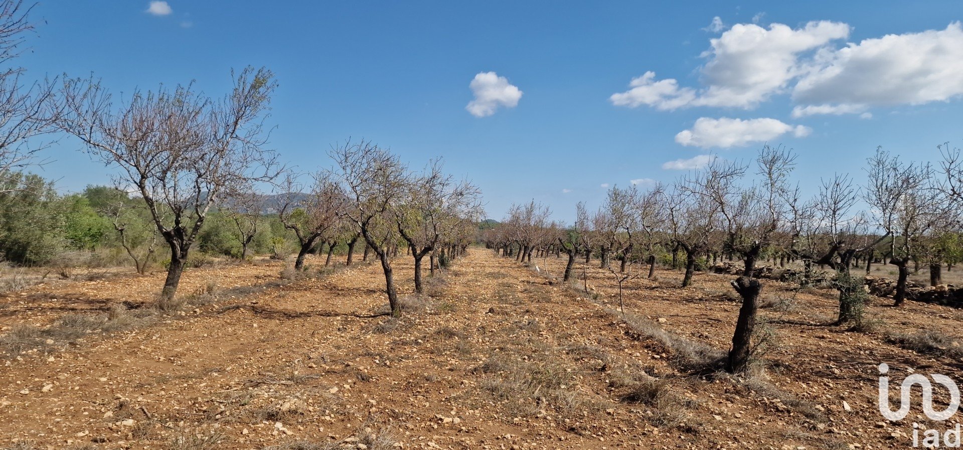 Land plot à L'Ametlla de Mar, Tarragona, Espagne 11078 m2 No. 185612