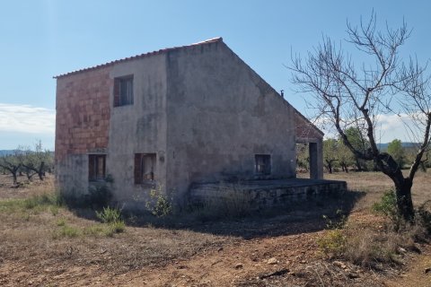Tontti myytävänä L'Ametlla de Mar, Tarragona, Espanja , 11078 m2 No. 185612 - kuva 9