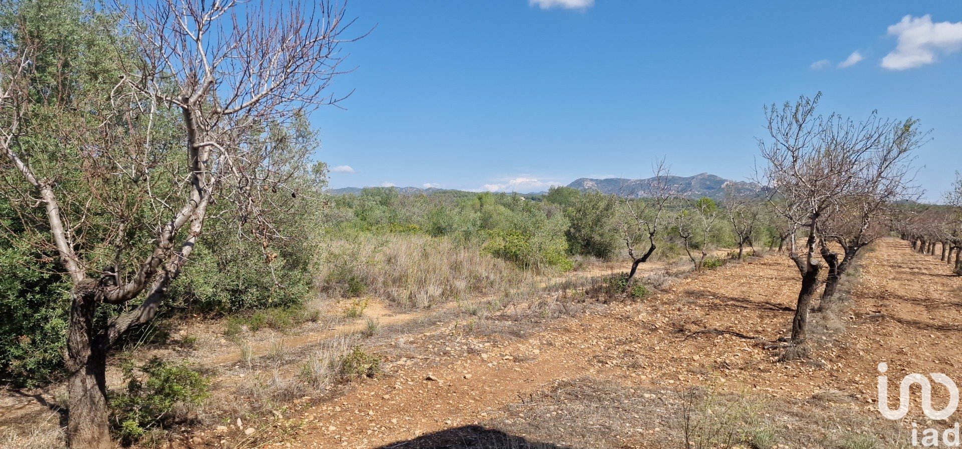 Land plot à L'Ametlla de Mar, Tarragona, Espagne 11078 m2 No. 185612