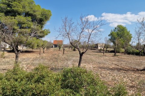 Tontti myytävänä L'Ametlla de Mar, Tarragona, Espanja , 11078 m2 No. 185612 - kuva 30