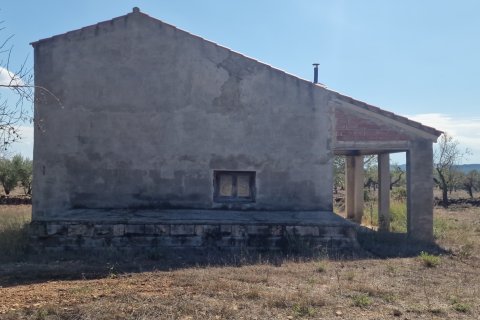 Tontti myytävänä L'Ametlla de Mar, Tarragona, Espanja , 11078 m2 No. 185612 - kuva 4