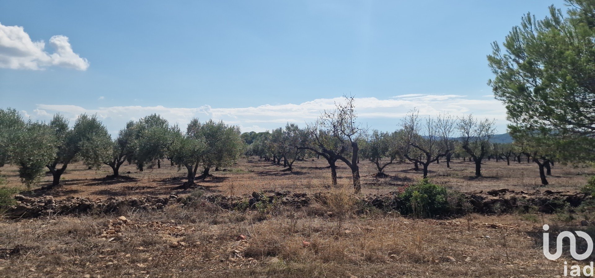 Land plot à L'Ametlla de Mar, Tarragona, Espagne 11078 m2 No. 185612