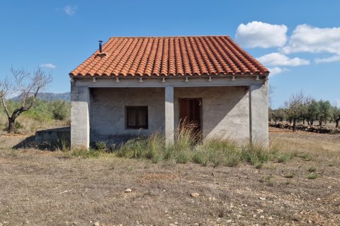 Tontti myytävänä L'Ametlla de Mar, Tarragona, Espanja , 11078 m2 No. 185612 - kuva 3