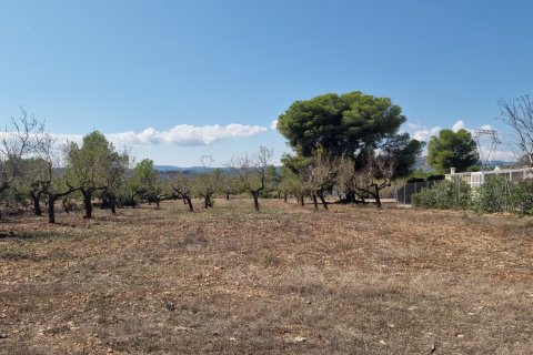 Tontti myytävänä L'Ametlla de Mar, Tarragona, Espanja , 11078 m2 No. 185612 - kuva 28