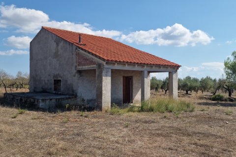 Terreno a L'Ametlla de Mar, Tarragona, Spagna 11078 mq. N° 185612