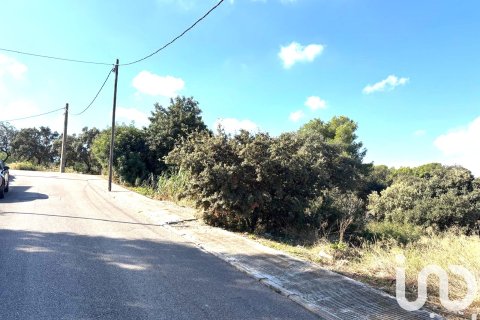 Parcela en venta en Barcelona, España 816 m2 No. 185613 - foto 6