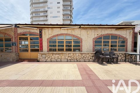 Аренда коммерческой недвижимости в Даймус, Валенсия, Испания 2 спальни, 80м2 №194430 - фото 19