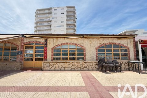 Аренда коммерческой недвижимости в Даймус, Валенсия, Испания 2 спальни, 80м2 №194430 - фото 20