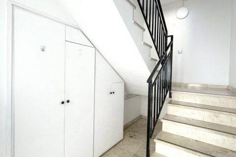 Liikekiinteistö vuokrattavana Sabadell, Barcelona, Espanja, 8 makuuhuonetta, 240 m2 No. 154293 - kuva 14