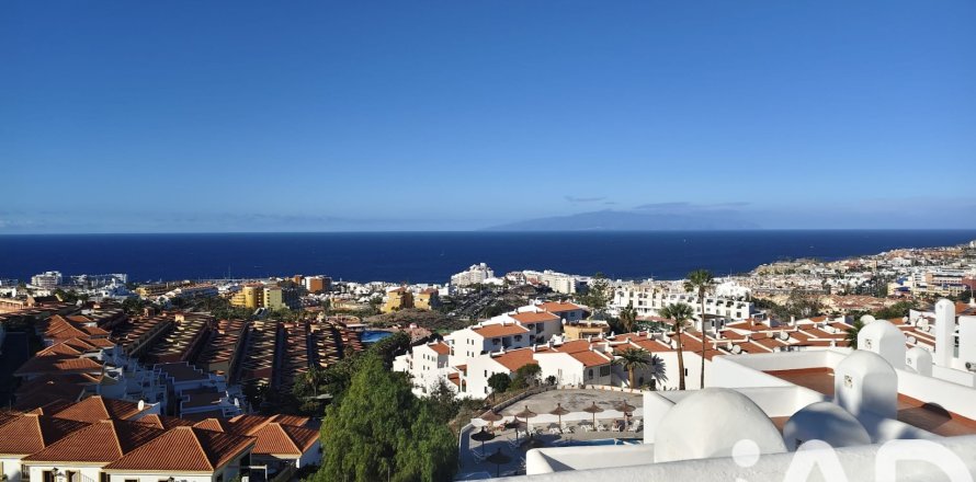 Apartamento en Adeje, Tenerife, España 1 dormitorio, 39 m2 No. 152467