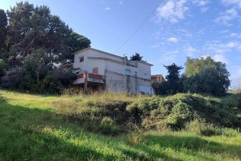 Tontti myytävänä Canet de Mar, Barcelona, Espanja , 4800 m2 No. 152464 - kuva 2