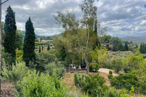 Hus till salu i Denia, Alicante, Spanien 5 sovrum, 480 kvm. Nr. 160311 - foto 24