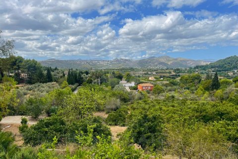 Hus till salu i Denia, Alicante, Spanien 5 sovrum, 480 kvm. Nr. 160311 - foto 23