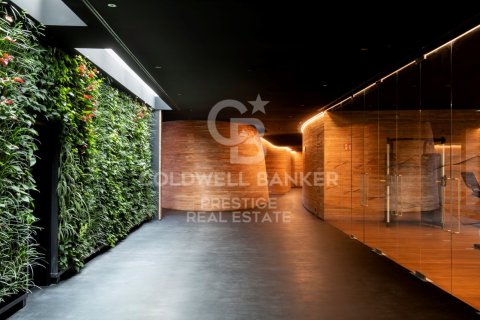 Apartamento en venta en Barcelona, España 3 dormitorios, 227 m2 No. 160306 - foto 13