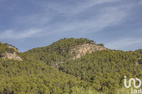 Māja pārdošanā Andratx, Mallorca, Spānijā 2 istabas, 160 m2 Nr. 153985 - attēls 3