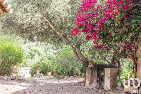 Māja pārdošanā Andratx, Mallorca, Spānijā 2 istabas, 160 m2 Nr. 153985 - attēls 28