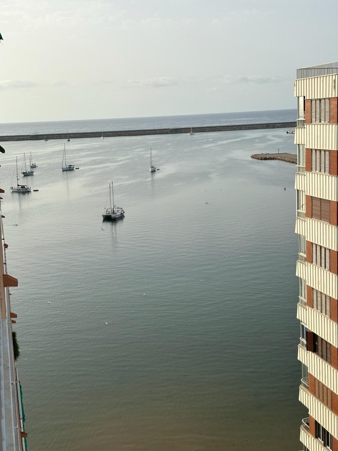 Lägenhet i Torrevieja, Alicante, Spanien 2 sovrum, 118 kvm. Nr. 137720